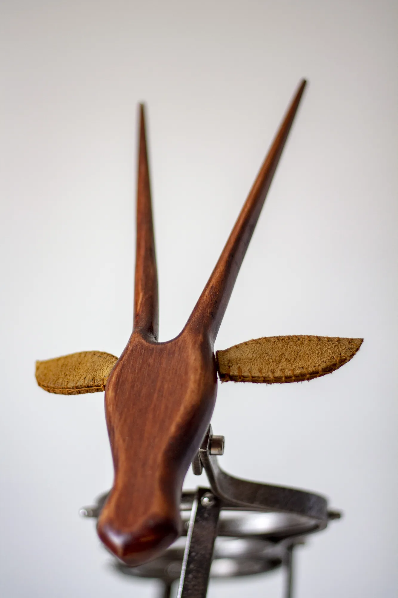 ANTELOPE, 3