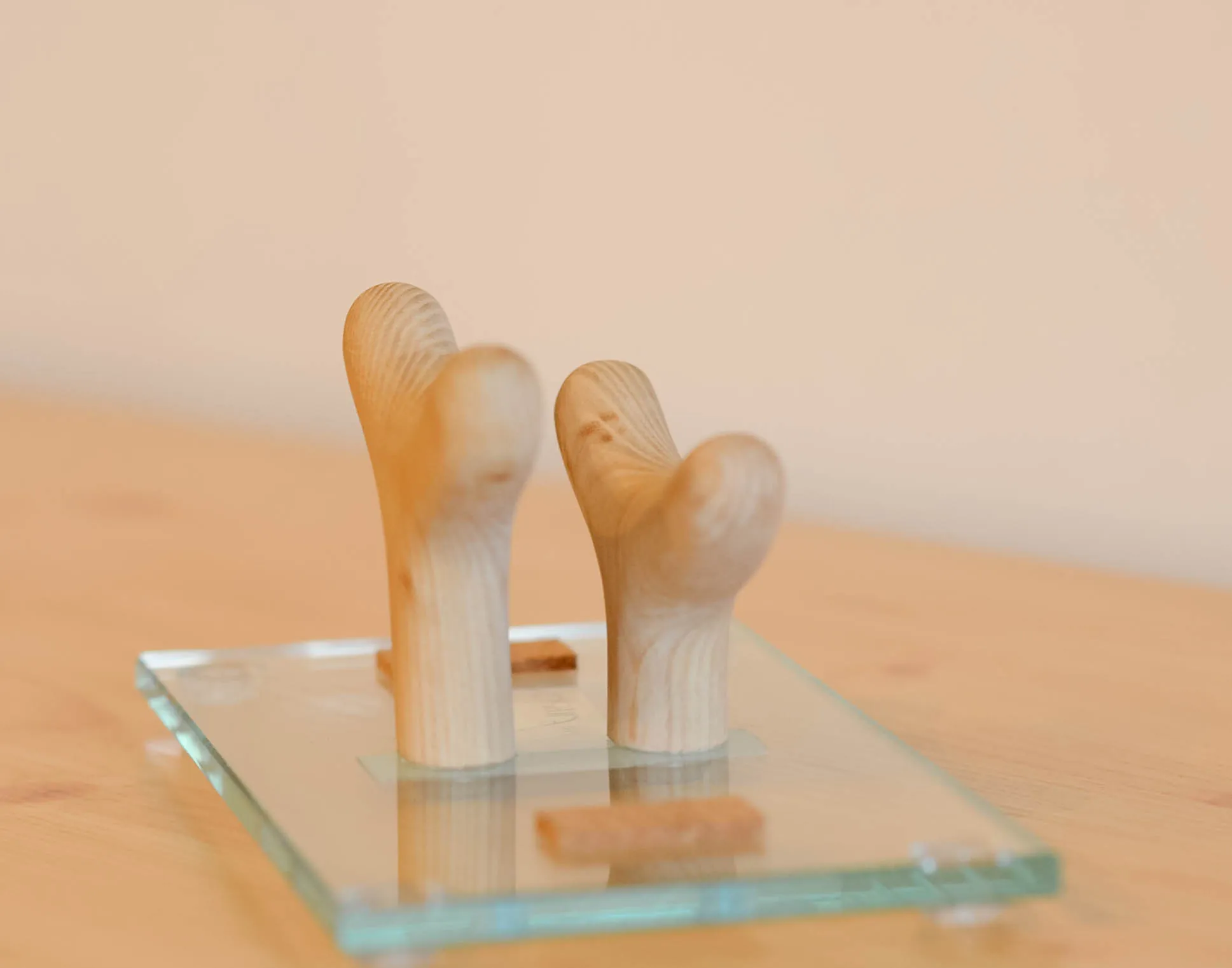TWINS, 5