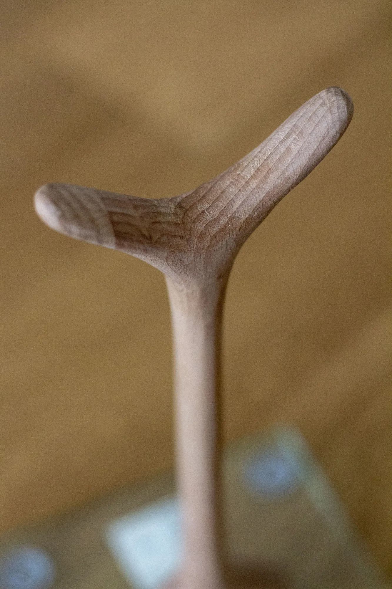 bone-limited-edition, 5